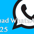 Fouad WhatsApp con reacciones, más privacidad y mucho más