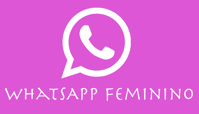 Whatsapp Feminino Descubra Os 4 Melhores Mods Para Baixar 1888