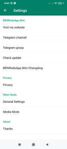 BriWhatsApp Mini 3
